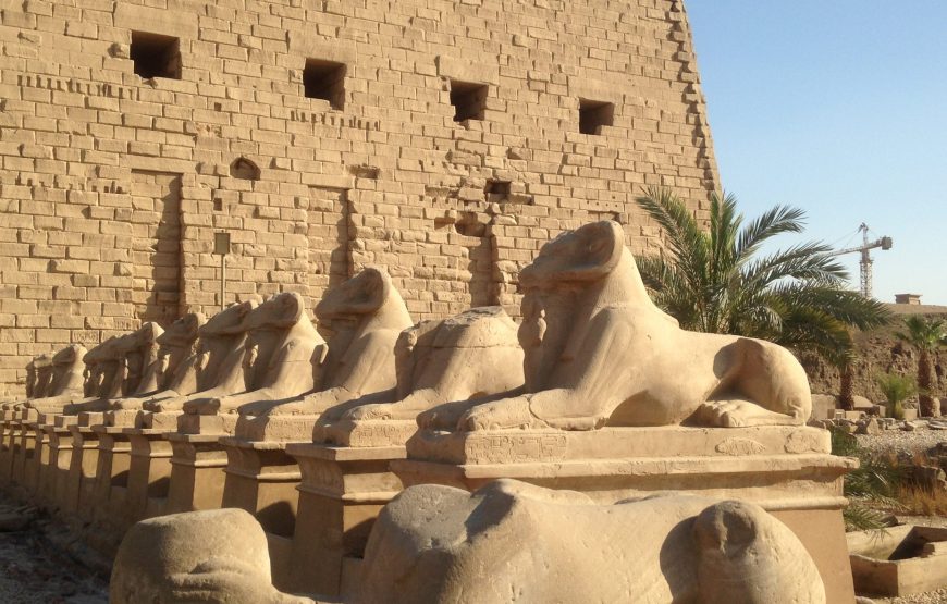 Luxor Day Tour